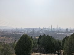 -白水寺森林公园
