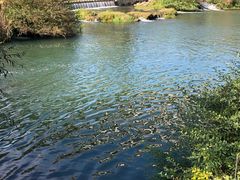 -贵阳市花溪国家城市湿地公园