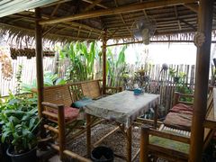 -Jungle Kitchen