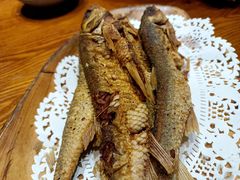 -蒙古苍狼蒙餐