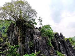 -玉石林风景区