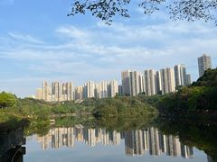 -重庆彩云湖湿地公园