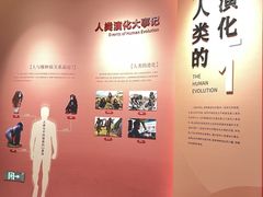 -陕西自然博物馆