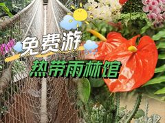 -正佳雨林生态植物园