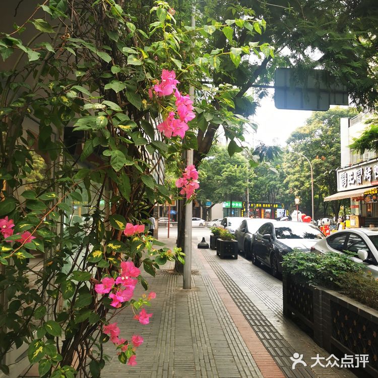 超喜欢的一家西域风情的凉皮店