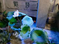 -韵秋荷(宝山龙湖天街店)