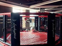 八角笼&nbsp;&nbsp;拳击使用-鼓楼社区体育中心游泳馆