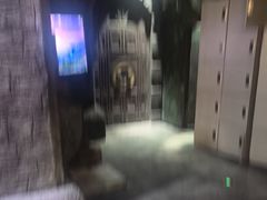 -暴风岛沉浸式体验馆(百联世纪店)