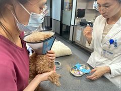 -宠颐生斯嘉宠物医院·急重症·心内科(谷阳北路分院)