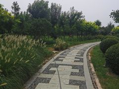 -东疆建设开发纪念公园