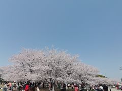 -石湖景区