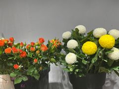 -何兮花店·气球派对鲜花店(马桥银春路万科城店)