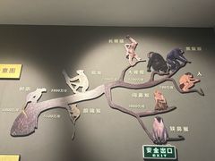 -辽宁古生物博物馆