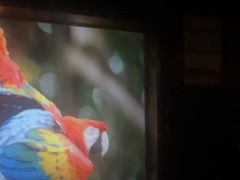 -龍栖轻奢足道·按摩·SPA(汇峰大厦店)