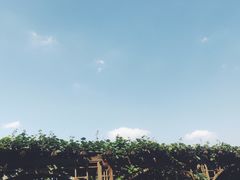 -北京张裕爱斐堡酒庄