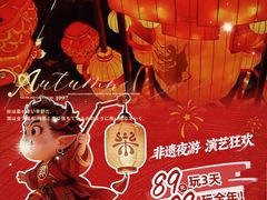 -淄博花灯齐彩城