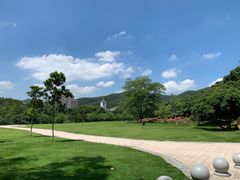 -大屏嶂森林公园