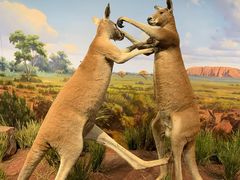 -陕西自然博物馆