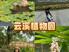 -云溪植物园