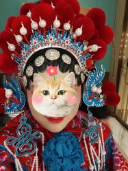 -盘子女人坊古装写真摄影(天津总店)