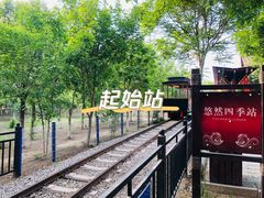 -西青郊野公园