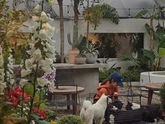 -自由生长植物工作室(深港花卉中心店)
