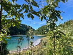 -武陵山森林公园