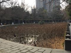 -四川大学(华西校区)