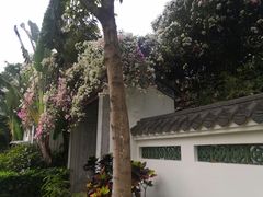 -深圳国际园林花卉博览园