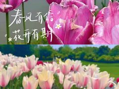 -花开海上生态园