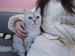 -喵园·猫主题咖啡厅·撸猫·猫咖(国贸店)