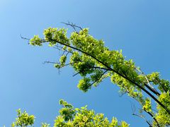 -广富林郊野公园