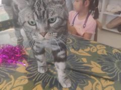 -平行世界·猫咖(首经贸店)