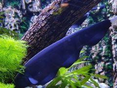 -上海海洋水族馆