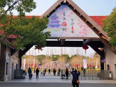 -上海海湾国家森林公园