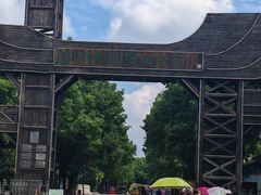 -溱湖国家湿地公园