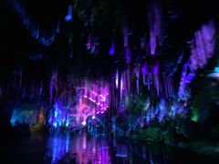 -奥兰多迪士尼动物王国乐园