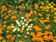 -国家植物园南园