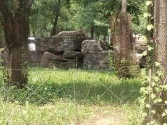 -秦皇岛野生动物园