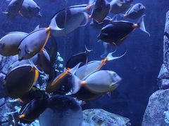 -成都浩海立方海洋公园