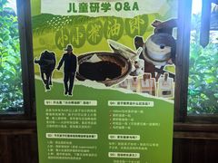 -乌村