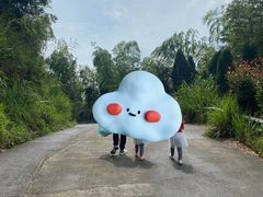 -长沙黑麋峰国家森林公园