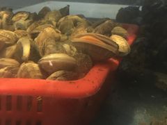 -海神·济州岛海鲜料理(天乐广场店)