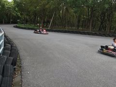 -上海海湾国家森林公园