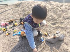 -九龙湖公园
