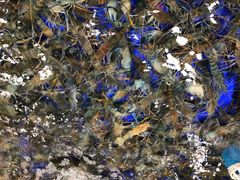 -渔民新村(番禺总店)