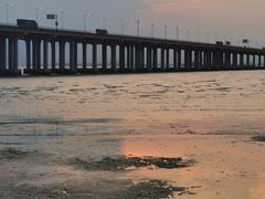 -宝安西湾红树林湿地公园