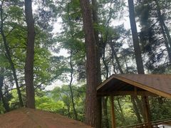 -生态园山庄(森林公园店)