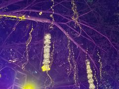 -闽江夜游台江旅游码头