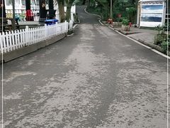-巴山一绝烤全羊(三圣乡刘家花园店)